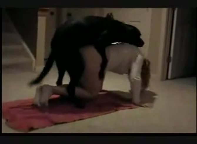 Video :Office girl woman got banged with big dog dick